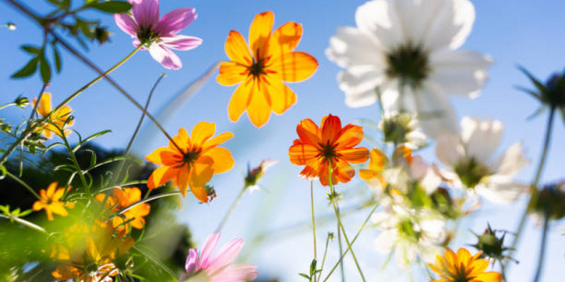 Қазақстанда күн +32 градусқа дейін жылиды