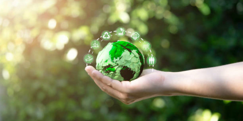 Мемлекет басшысы: Жаһандық экологиялық модельге көшу үрдісі әділ және ынталандырушы сипатта өрбуге тиіс