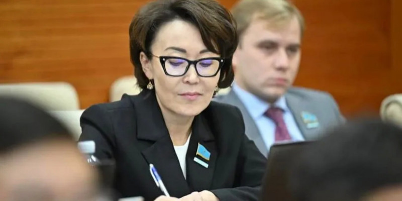 Азық-түлік бағасын тұрақтандыру тетігі тиімсіз – Үнзила Шапақ