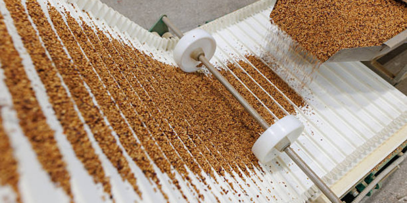 Үкімет: Ақмола облысында астықты терең өңдеу зауыты салынады