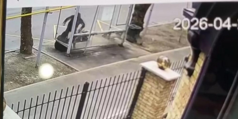 «Ұрып-соғып, басынан тепкен»: Алматыда ер адам 66 жастағы әйелді аяусыз соққыға жыққан (ВИДЕО)