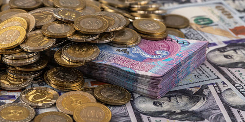 Қызылордада шенеуніктер кәсіпкерге 75 млн теңге төлемеген