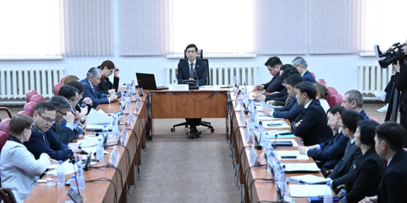 Мәжіліс депутаттары есірткіге, алкогольге тәуелділікті емдеу мәселелерін талқылады