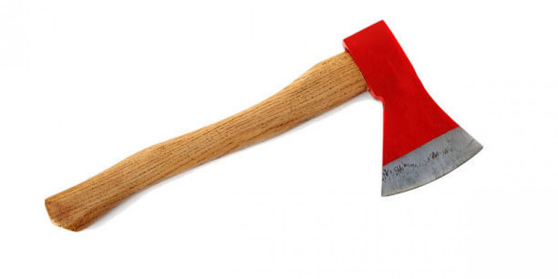 Алматыда қыз бала мектепке балта ұстап келген