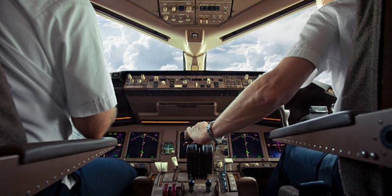 “Мияулап, үрген“: Желідегі әзіл видеодан кейін ұшқыштар қатаң тексерілетін болды