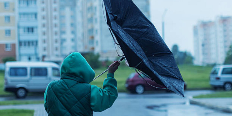 Ертең елімізде ауа райы қандай болады