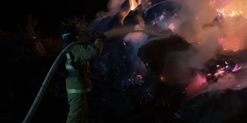 Ақмола облысында 70 тонна шөп өртеніп кетті