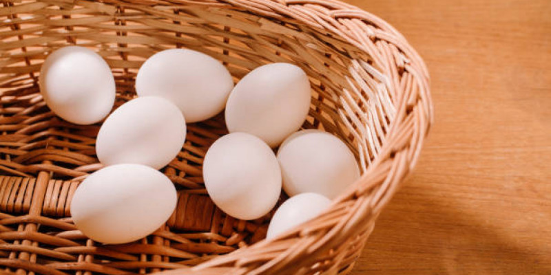 Қазақстан тауық жұмыртқасын елге әкелуге алты айға тыйым салды