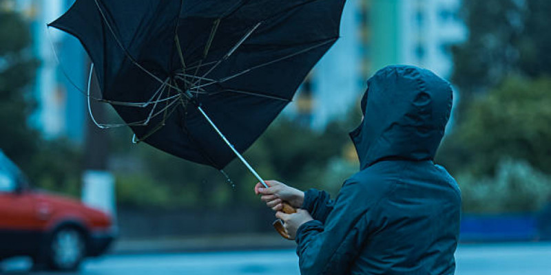 Павлодар облысында екі әйел қатты желден зардап шекті
