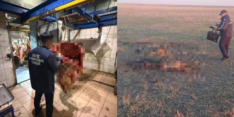 Ет сатып алған тұрғын мал ұрлағандарды ұстап берді