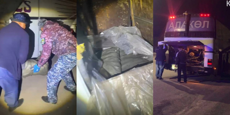 Жетісуда 4 қап балық аулаған зейнеткер ұсталды