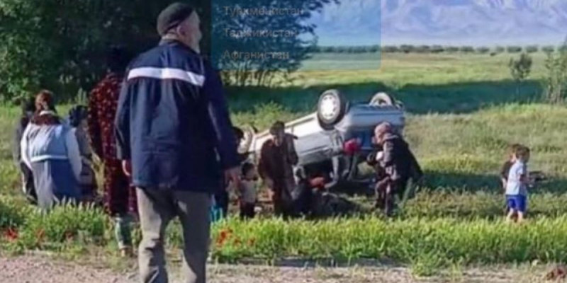 14 баланы өз көлігіне мінгізіп алған 34 жастағы әйел жол апатына ұшырады