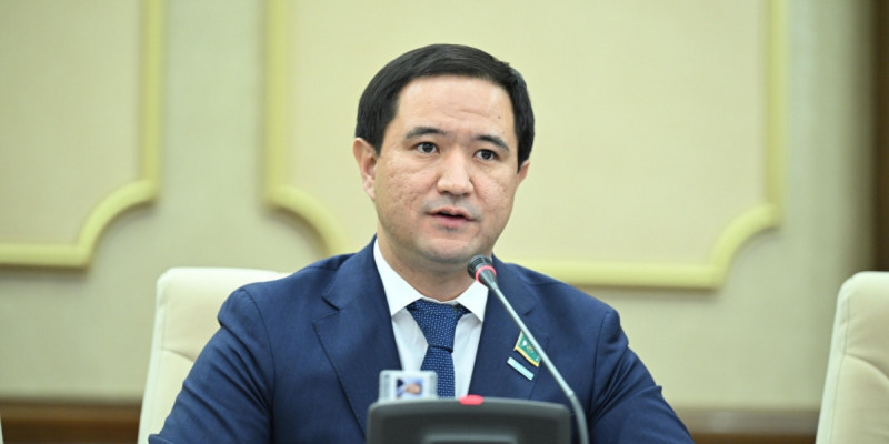 Қазақстанның халықаралық транзит саласында айтарлықтай өсу әлеуеті бар – депутат
