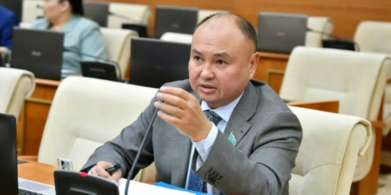 Депутат пластикалық ота жасайтын клиникаларды жаппай тексеруді талап етті