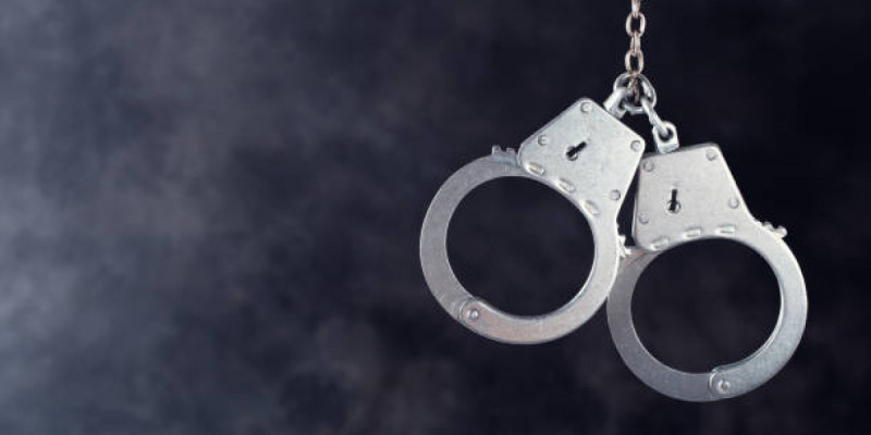 Павлодарда көкнәр тұқымын дәмдеуіш ретінде сатқандар сотталды