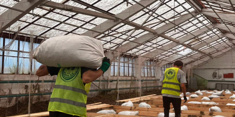 Қостанай облысында 100 түрлі өсімдік өсіретін «Agro Eco Hub» экожобасы іске қосылмақ