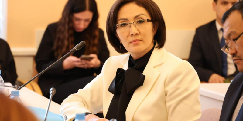Жанар Жігітекова: Жаңа Конституцияның өзегі – адам құқығы мен бостандығы