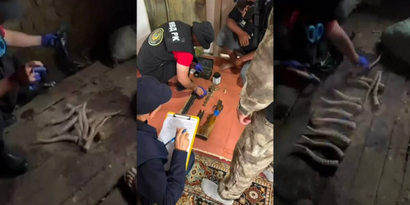 Ақтөбе облысында аңшыдан қару-жарақ, киік еті мен мүйізі тәркіленді