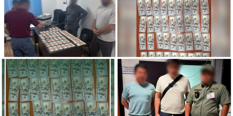 Шекарадан 350 мың долларды алып өтпек болған шетел азаматы ұсталды