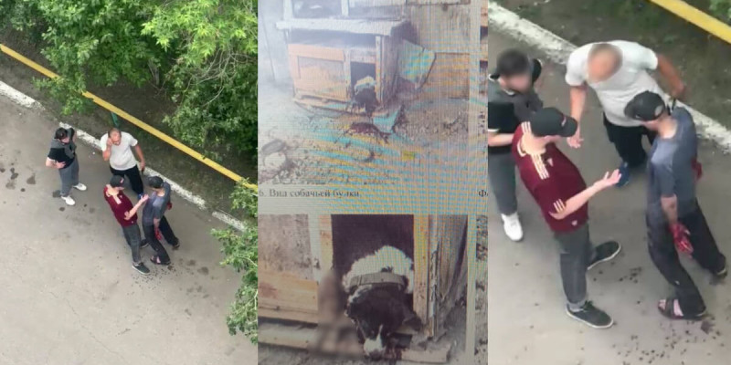 Петропавлда итке бірнеше рет пышақ сұққан тұрғын сот алдында жауап береді