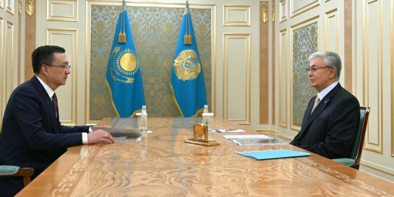 Президент Қазақстан Халық Кеңесі төрағасының орынбасарын қабылдады