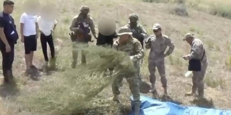 Жамбыл облысында 24 келіден астам есірткі сатпақ болған ер адам ұсталды