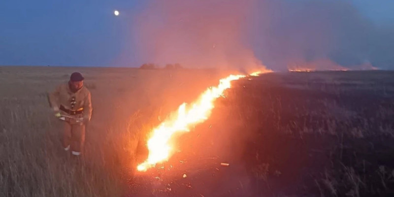Ақмола облысының үш ауданында құрғақ шөп өртенді