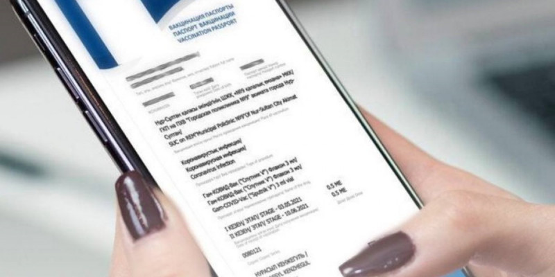 Электрондық жеке медициналық кітапша енді eGov Mobile және Halyk қосымшасында қолжетімді – ДСМ