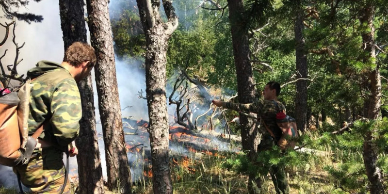 Семей орманында 12 күн бұрын басталған өрт сөндірілді