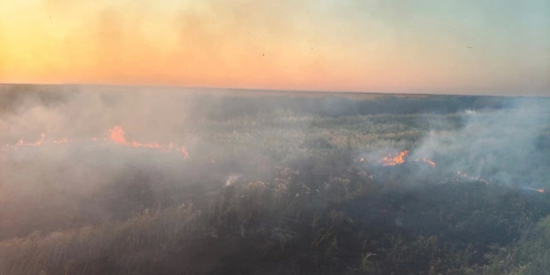 Ақмолада бірнеше ауданда шыққан құрғақ шөп өрті толық ауыздықталды сөндірілді