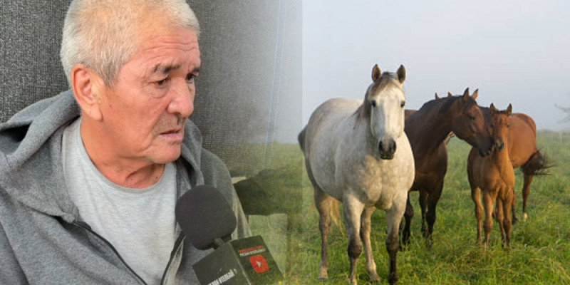 «Кепілге қойғызған»: Ақталып шыққан 60 жастағы бақташы туралы жаңа дерек белгілі болды (ВИДЕО)
