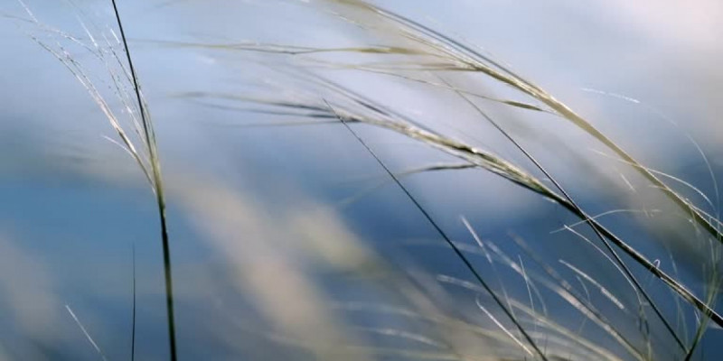 Қазгидромет ауа райына байланысты ескерту жасады
