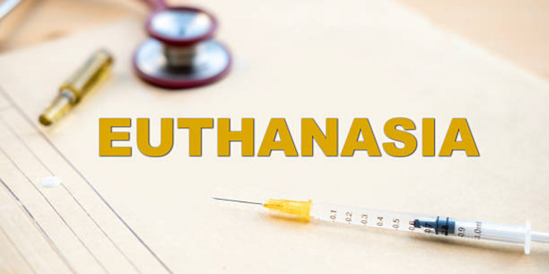 Американың 14-штатында эвтаназияға рұқсат берілді