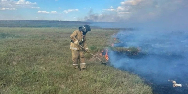 Ақмола облысында бір тәулікте 100 гектарға жуық жер өртенді