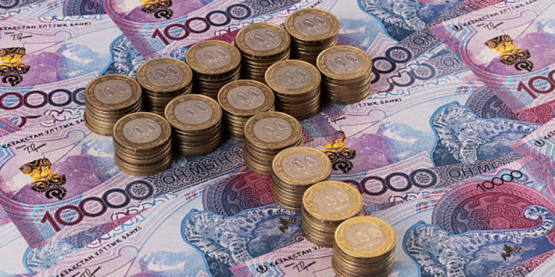 Жамбыл облысында кәсіпкерлерге тиесілі 119 млн теңге субсидия берілмеген