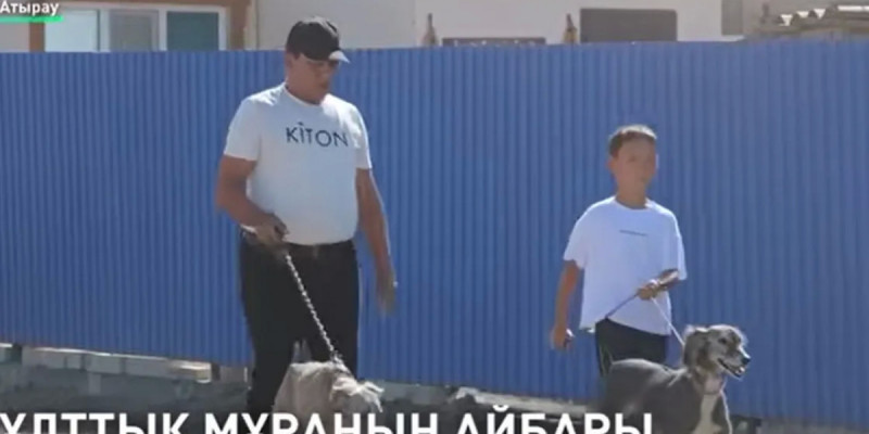 Атырауда 9 жастағы бала тазы баптаудың сырын айтты
