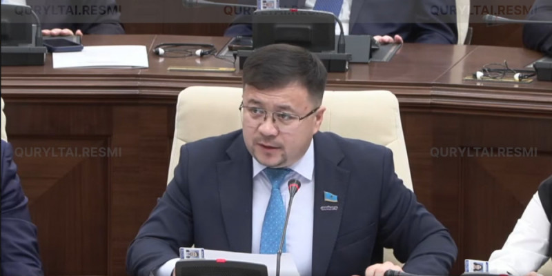Зорлық-зомбылықты, қауіпті пранктерді тікелей эфирде насихаттағаны үшін жауапкершілікті күшейту керек – депутат