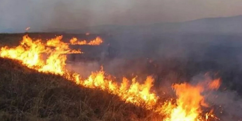 Қарағанды облысындағы дала өрті: ТЖД жүргізушілерге ескерту жасады