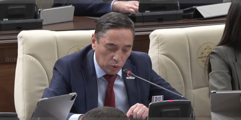 Байыпсыз блогерге, кереғар коучке еліктейді: Депутат мемлекетшіл тұлғаларды ұрпаққа үлгі етудің маңызын айтты