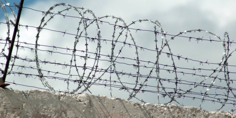 Рақымшылық аясында 2,6 мыңнан астам адамға қатысты шешім қабылданды – ІІМ