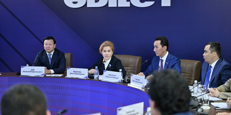 Депутаттар медицина қызметкерлерінің кәсіби мәртебесін ұлттық қауіпсіздік тұрғысынан талқылады