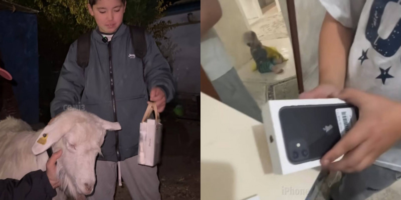 Бір ешкіге бір Iphone телефон алған баланың әрекеті көпті сүйсінтті (ВИДЕО)