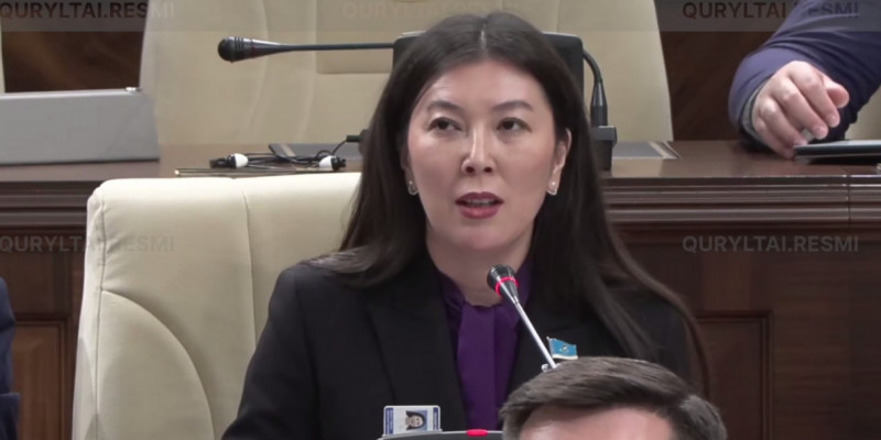 Қолданбалы және іргелі зерттеулерді гранттық қаржыландыру конкурстарын бөлек ұйымдастыру қажет – Лаура Қарабасова