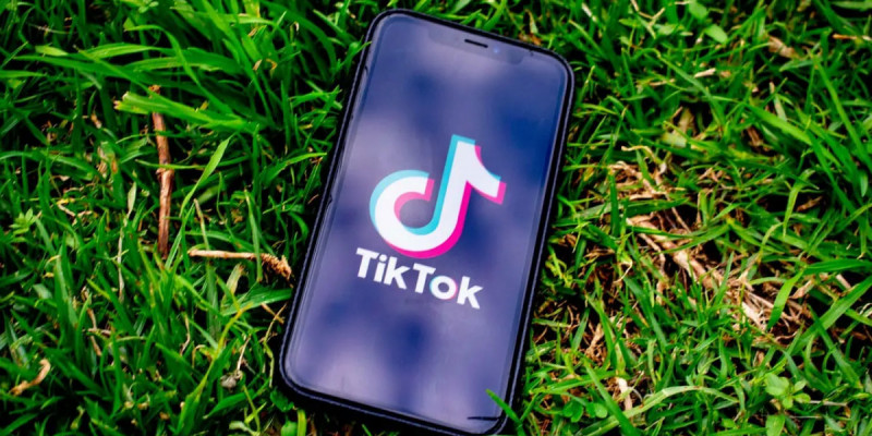 TikTok-та тікелей эфирге шығып, балағат сөз айтқан қыздың ата-анасы жазаланды
