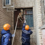 Оралда тұрғын үйдің терезесіне түлкі кептеліп қалған