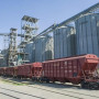 Жаңа астық өнімінің экспорты 7,6 млн тоннаға жетті