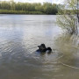 Бір ай бұрын жоғалып кеткен ер адамның денесі Ертістен табылды