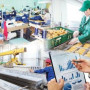 Жыл басынан бері 140 мыңнан астам адам жұмысқа орналастырылды