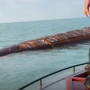 Каспий теңізінен зымыранды сүңгуір қайығы табылғаны рас па? (ВИДЕО)