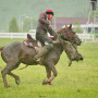 Жамбыл облысы көкпардан ел чемпионы атанды
